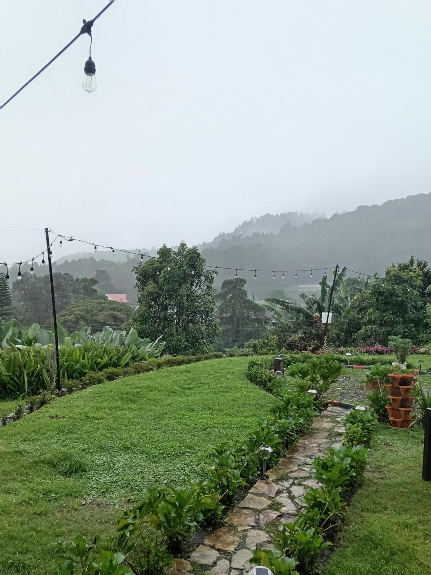 Hostal Vista Boquete Bajo Boquete Esterno foto