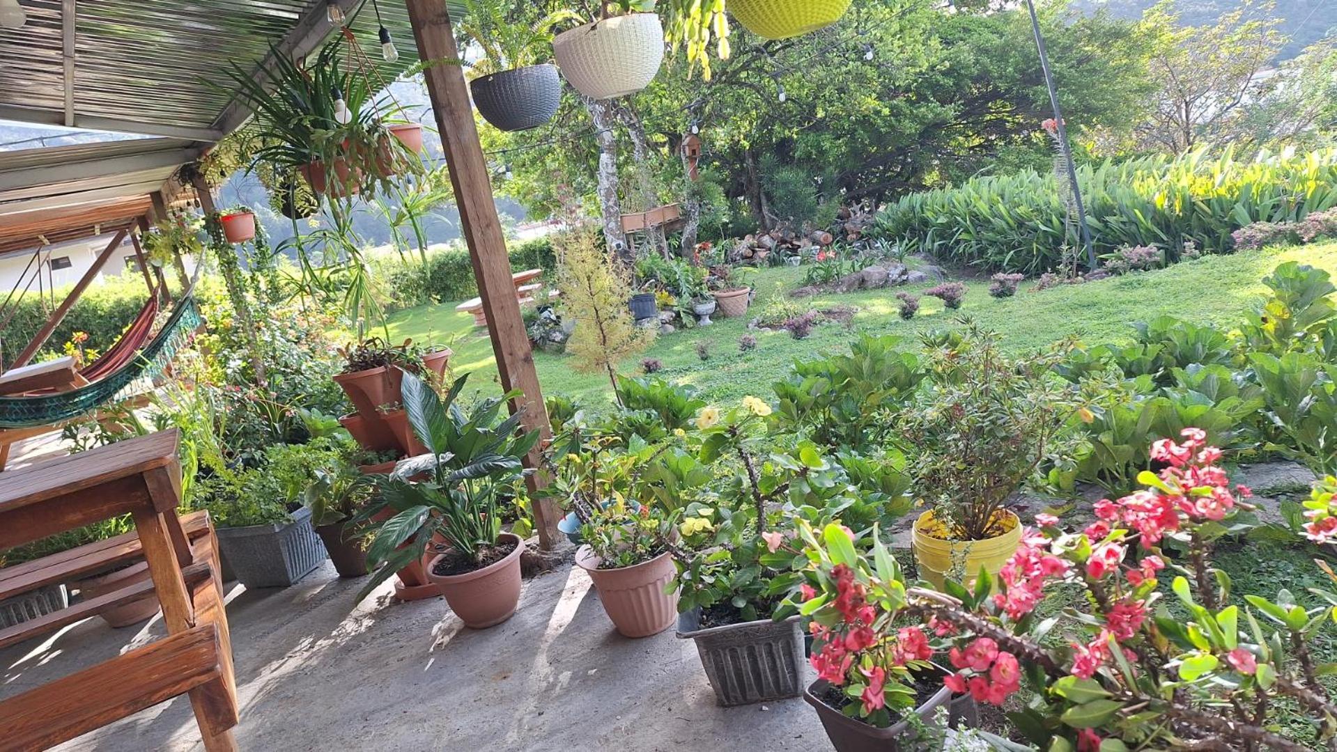 Hostal Vista Boquete Bajo Boquete Esterno foto