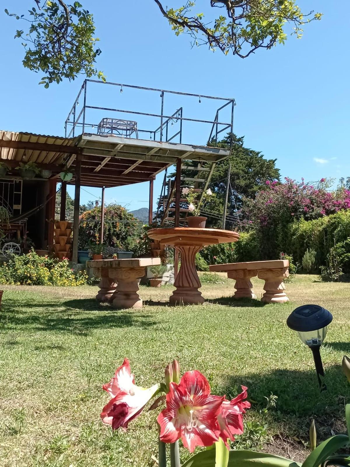Hostal Vista Boquete Bajo Boquete Esterno foto