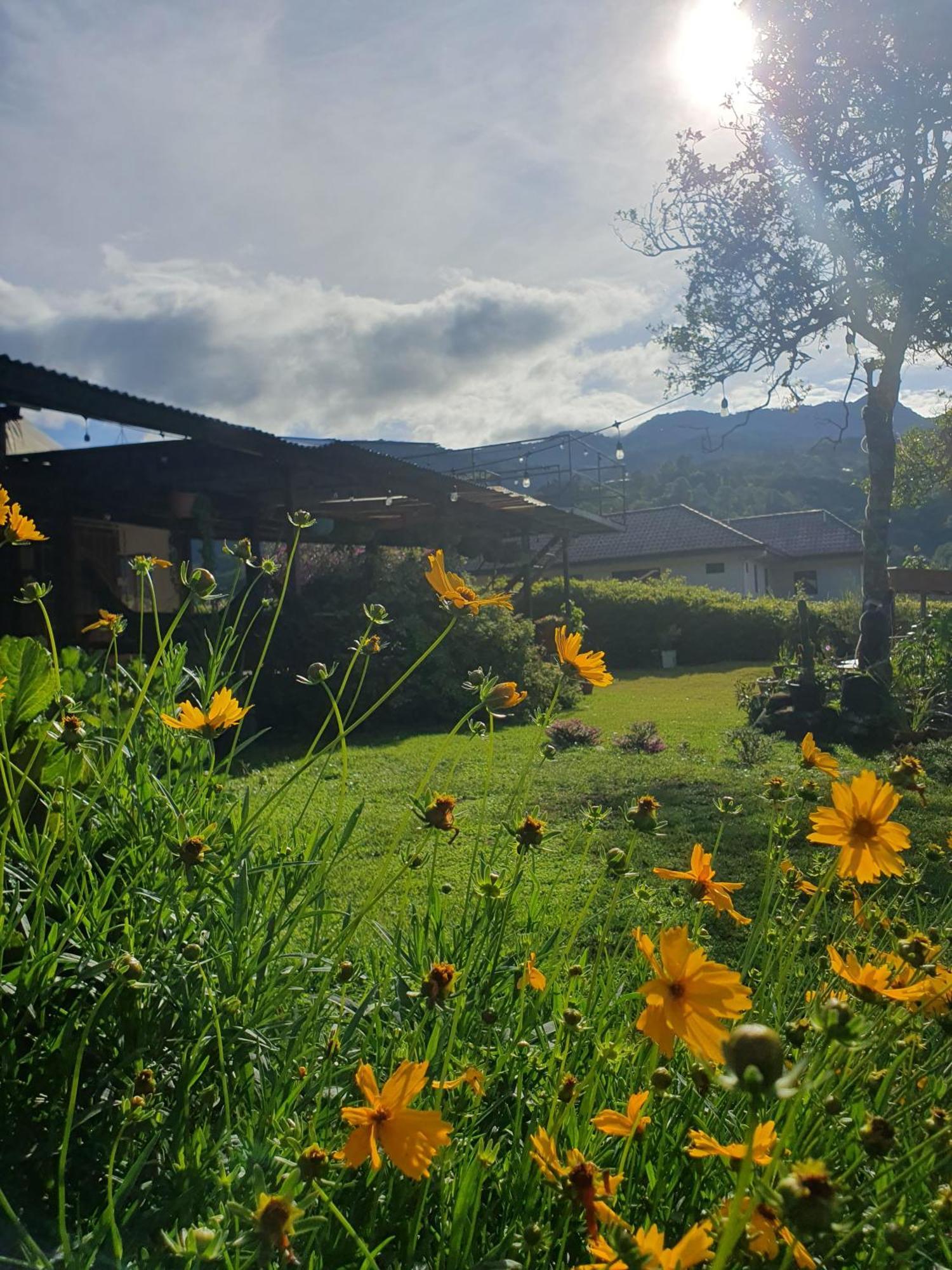 Hostal Vista Boquete Bajo Boquete Esterno foto