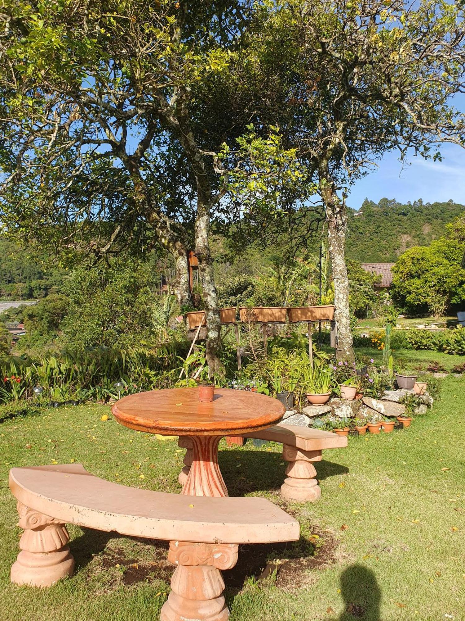 Hostal Vista Boquete Bajo Boquete Esterno foto